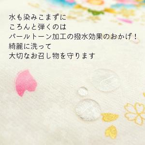 着物 クリーニング パールトーン加工 セット ...の詳細画像2