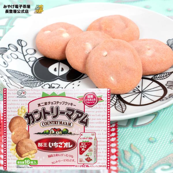 酪王いちごオレ カントリーマアム 16個入り 個包装 チョコチップクッキー 福島のお土産 長登屋公式...