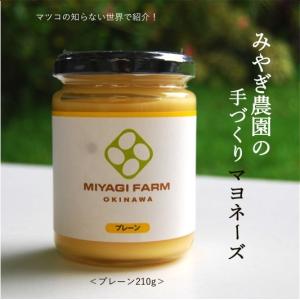 手づくりマヨネーズ 210g