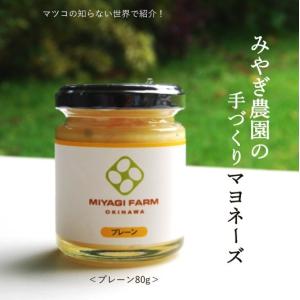 手づくりマヨネーズ 80g
