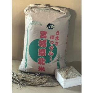 ササニシキ 新米 減農薬 有機肥料使用 30kg お米 宮城県産 米 30キロ