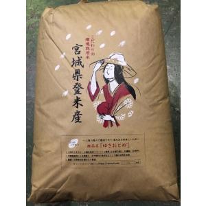 令和6年産 茨城県 にじのきらめき 30キロ 玄米 令和6年産 にじのきらめき 茨城県 30キロ 玄米