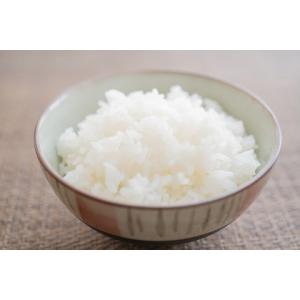 爆買 米 だて正夢 精米 10Kg(5Kg×2...の詳細画像3