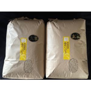 米 玄米食専用 （精米しないで玄米のまま炊飯）金のいぶき 1０ｋｇ（5kg×2袋） 玄米食 宮城県産 令和６年度