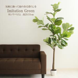 人工観葉植物 フェイクグリーン 大型 フィカス カシワバゴムノキ｜miyaguchi