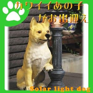 イタリア製 陶器 置物 犬 セッター 置き物 : クレセント家具ベッド