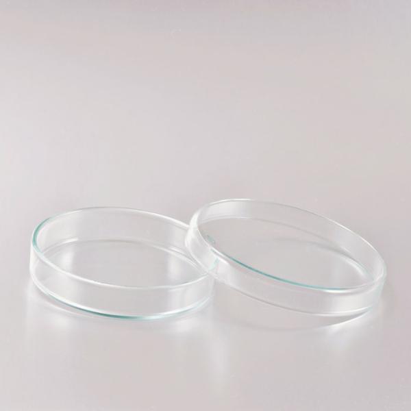 ISOLAB　ペトリディッシュ（ペトリシャーレ）　80φ　バラ　１枚