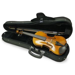 Eastman イーストマン バイオリン VL80セット1/10サイズ : 大谷楽器