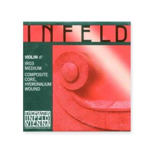 ヴァイオリン弦 PASSIONE（パッシオーネ） G線【メール便対応】 : 宮地