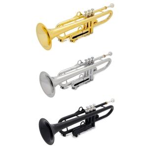 その他ブランド(管楽器・吹奏楽器) Colin Goldie Soprano Whistle inD