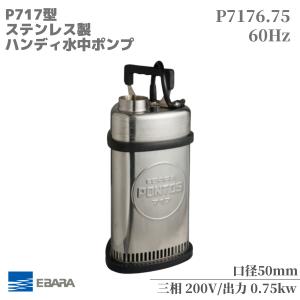 エバラポンプ 非自動 清水用水中ポンプ ステンレス製 P7176.75 200V 60HZ｜miyakeki
