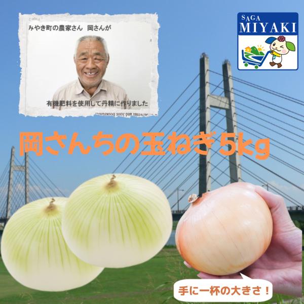 佐賀県みやき町岡さんちのたまねぎ5kg 送料無料 大容量 佐賀県産 玉ねぎ 人気 玉葱 カレー タマ...