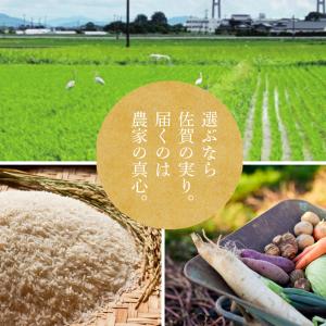 佐賀県みやき町岡さんちのたまねぎ5kg 送料無...の詳細画像4