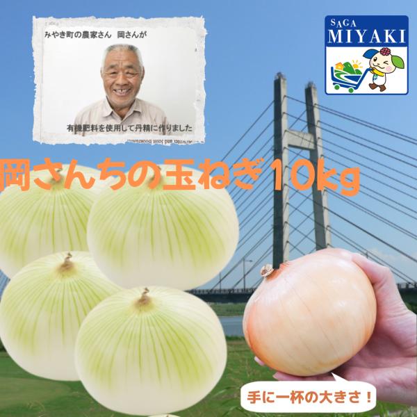 佐賀県みやき町岡さんちのたまねぎ10kg 送料無料 大容量 佐賀県産 玉ねぎ 人気 玉葱 カレー タ...