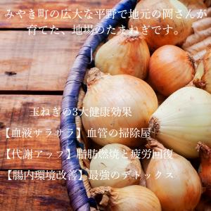 佐賀県みやき町岡さんちのたまねぎ10kgの詳細画像2