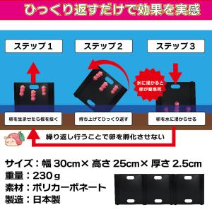 モグ卵板(10枚入)SPT300-A10 ジャ...の詳細画像2