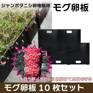 モグ卵板(10枚入)SPT300-A10 ジャ...の詳細画像4