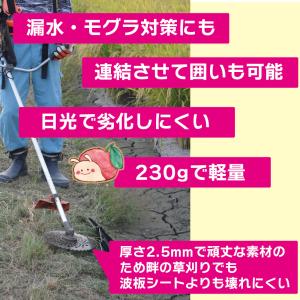 モグ卵板(10枚入)SPT300-A10 ジャ...の詳細画像5