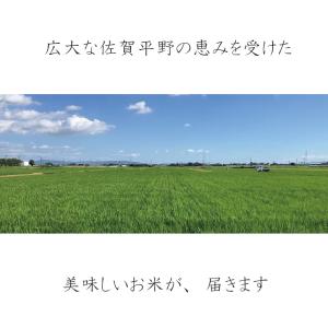 【無洗米】夢しずく10kg 送料無料 送料無料...の詳細画像3