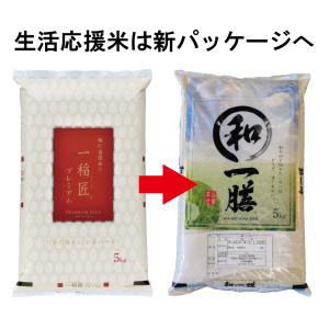 ブレンド米 白米 10kg 九州産 (5kg×...の詳細画像1