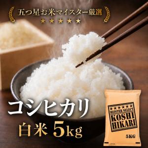 白米 コシヒカリ 5kg 送料無料 産地直送 令和7年産 着日指定可能 精米即日発送 お米 佐賀県産 ５キロ ご飯