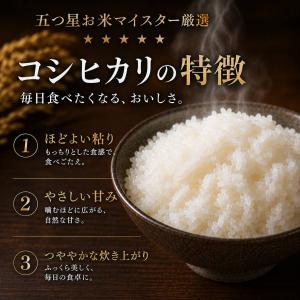 白米 コシヒカリ 5kg 送料無料 産地直送 ...の詳細画像2