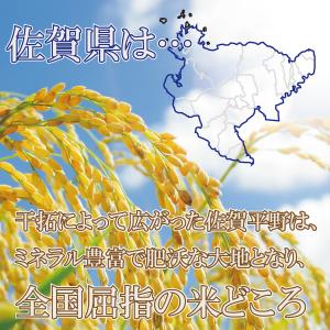 無洗米 コシヒカリ 5kg 送料無料 産地直送...の詳細画像3
