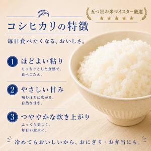 真空パック コシヒカリ 無洗米 4kg(2キロ...の詳細画像1