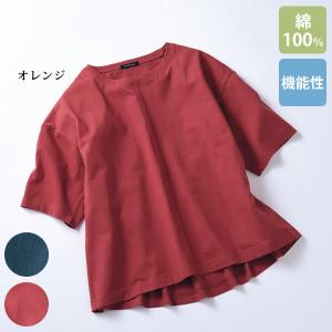Tシャツ トップス レディース おしゃれ ミセス シニア ファッション 50代 60代 70代 80代 キシリトール加工半袖Tシャツ