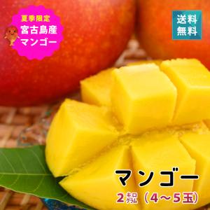 マンゴー 宮古島産 沖縄 約2kg 4〜5玉 送料込 産地直送 6月下旬より順次発送