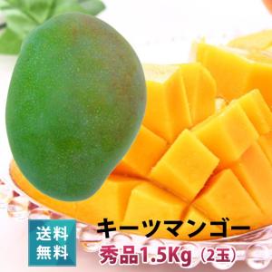 キーツマンゴー1.5kg 2玉 本場の宮古島マンゴー 8月上旬より順次発送｜miyakojimia