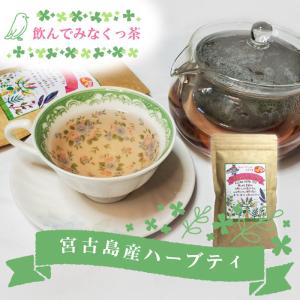 ウラジロガシ はいせき茶 煎出用 10g*40包 : Royall Velluto - 通販