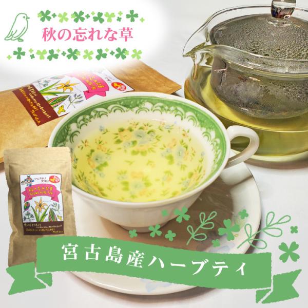 ハーブティー 秋の忘れな草 15g 沖縄 宮古島 ノンカフェイン 無農薬 オーガニック お土産 プチ...