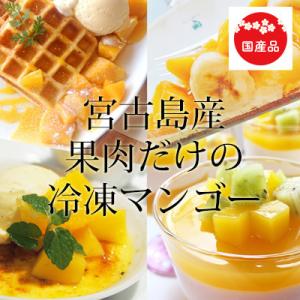 マンゴー 宮古島産 冷凍（国産）2kg　送料無料｜miyakojimia