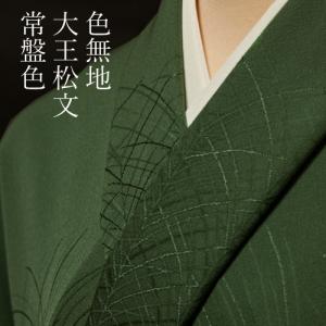 色無地 付下げ柄 大王松 灰梅【反物1反・正絹胴裏1枚・正絹共色別八掛1