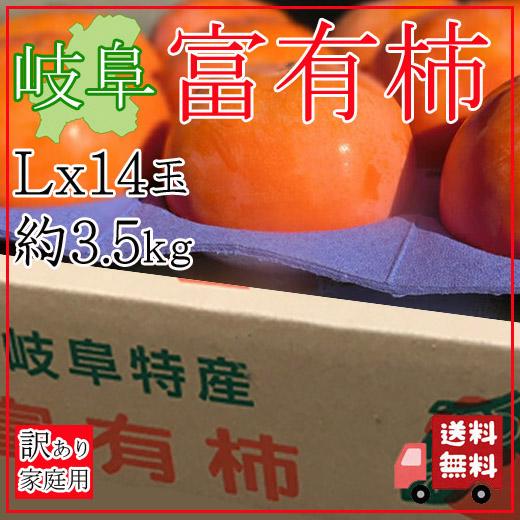 【送料無料】岐阜県産 富有柿(ふゆうがき) 訳あり Lサイズ 14個 約3.5kg 箱入り (自社農...