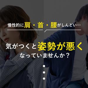 骨盤ベルト 腰痛ベルト 姿勢矯正 腰ベルト 腰...の詳細画像5