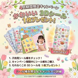シール帳 2個入り バインダー 台紙 透明シー...の詳細画像1