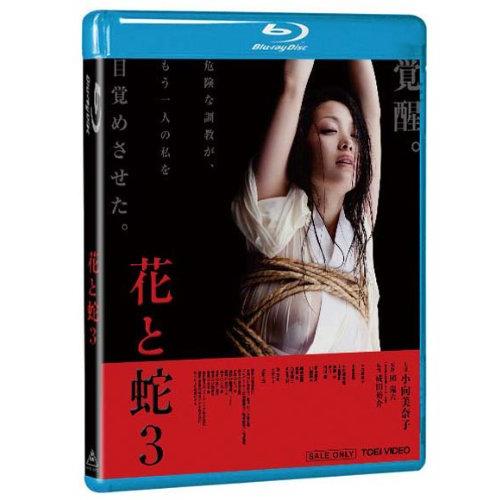 花と蛇3 [Blu-ray]