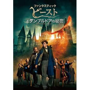 ファンタスティック・ビーストとダンブルドアの秘密 [DVD]｜miyanjin9