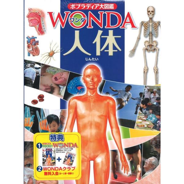 人体 (ポプラディア大図鑑WONDA)