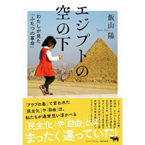 エジプトの空の下 わたしが見た「ふたつの革命」｜miyanojin4