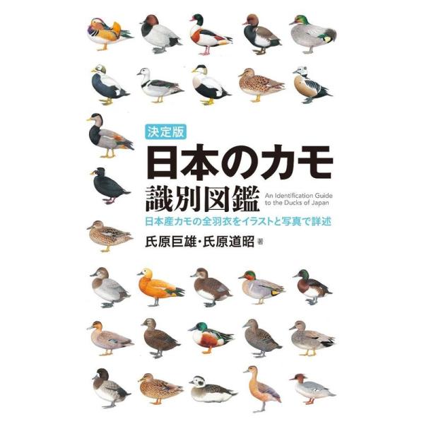 決定版 日本のカモ識別図鑑: 日本産カモの全羽衣をイラストと写真で詳述