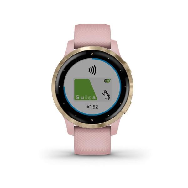 GARMIN vivoactive 4S Dust Rose/Light Gold 010-0217...