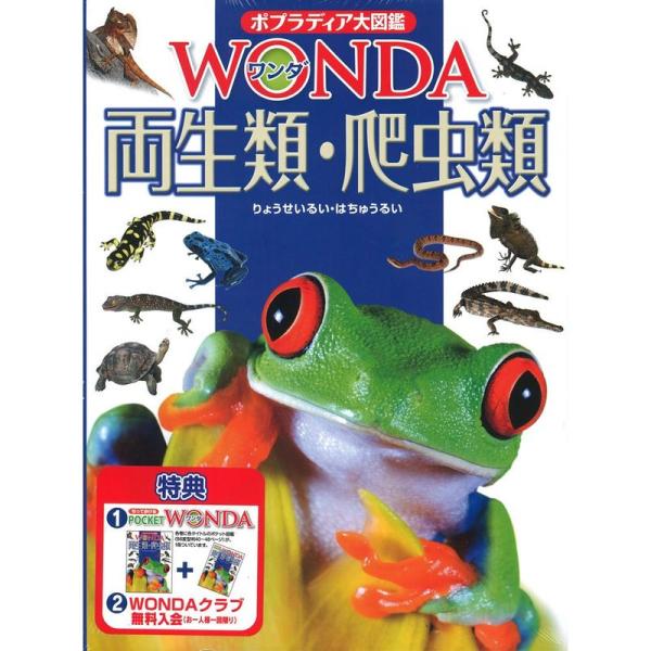 両生類・爬虫類 (ポプラディア大図鑑WONDA)