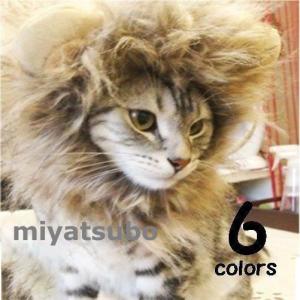 ライオン 犬 被り物 小物 アクセサリー 犬の服 の商品一覧 犬服 アクセサリー 犬用品 ペット用品 生き物 通販 Yahoo ショッピング