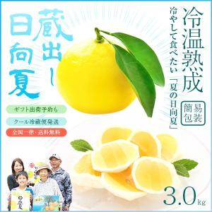 蔵出し日向夏2.5kg 冷温貯蔵 夏の日向夏 化粧箱ギフト用 宮崎県日南