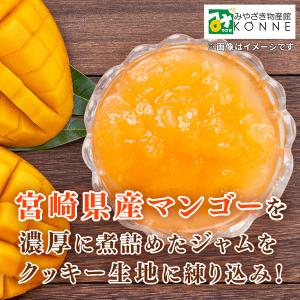 クッキー チョコレート マンゴー 宮崎マンゴー...の詳細画像4