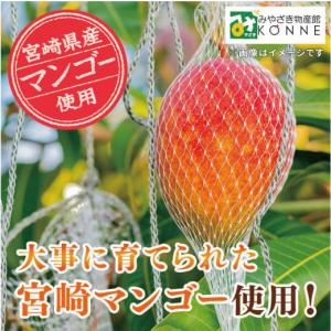クッキー チョコレート マンゴー 宮崎マンゴー...の詳細画像3