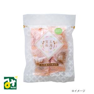 らっきょう 漬物 五月の宝石 アソート しそ 黒みつ 甘酢 個包装 霧島食品